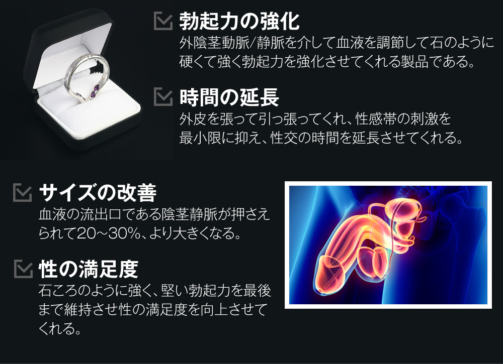 勃起力の強化 時間の延長 サイズの改善 性の満足度
