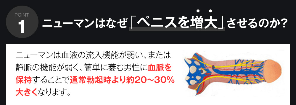 ニューマンはなぜ「ペニスを増大」させるのか？
