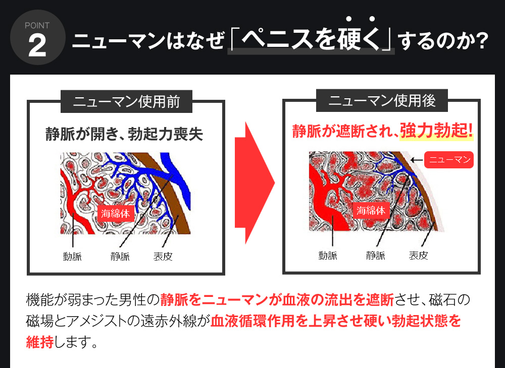ニューマンはなぜ「ペニスを硬く」するのか？